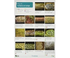 KNYGA Bookshop Key to Lichens on Twigs