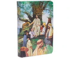 KNYGA Bookshop KJV Classic Children's Bible, Seaside Edition, Full-color Illustrations (Hardcover)