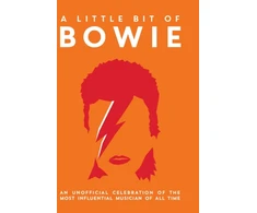 KNYGA Bookshop Little Bit of Bowie