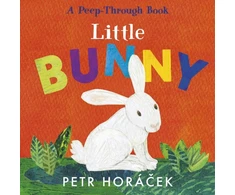 KNYGA Petr Horacek Little Bunny