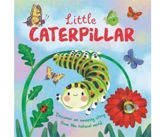 KNYGA Bookshop Little Caterpillar