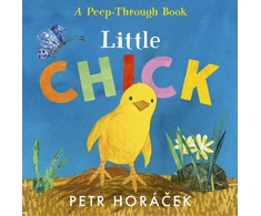 KNYGA Petr Horacek Little Chick