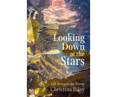 KNYGA Bookshop Looking Down at the Stars