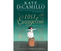 KNYGA Bookshop Lost Evangeline