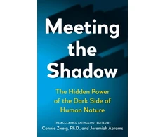 KNYGA Bookshop Meeting the Shadow