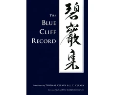 KNYGA Bookshop Mėlyna Cliff Record