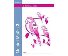 KNYGA Sally Johnson Mental Maths Book 2