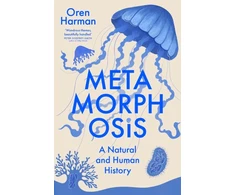 KNYGA Bookshop Metamorphosis