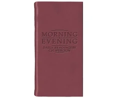 KNYGA Bookshop Morning And Evening - Matt Burgundy