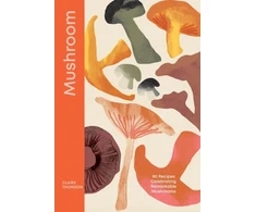 KNYGA Bookshop Mushroom