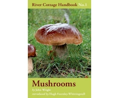 KNYGA Bookshop Mushrooms