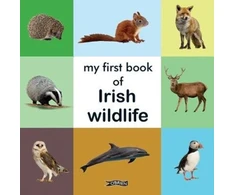 KNYGA Bookshop My First Book of Irish Wildlife