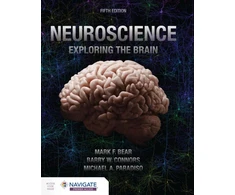 KNYGA Bookshop Neuroscience: Exploring the Brain