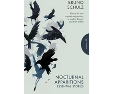 KNYGA Bruno Schulz Nocturnal Apparitions