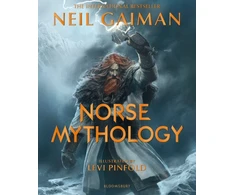 KNYGA Bookshop Norse Mythology Illustrated