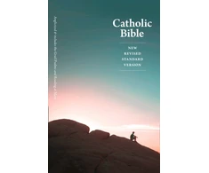 KNYGA Bookshop NRSV Catholic Bible