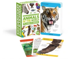 KNYGA Bookshop Our World in Pictures Animals of the World Flash Cards