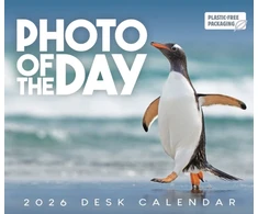 KNYGA Bookshop Photo Of The Day Box Calendar 2026