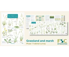KNYGA Bookshop Plant Identification for Phase 1 Habitat Survey: Grassland and Marsh