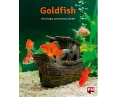 KNYGA Bookshop PM Oranžinis GOLDFISH N FIC LEV16