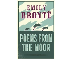 KNYGA Bookshop Poems from the Moor