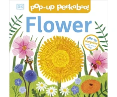 KNYGA Bookshop Pop-Up Peekaboo! Flower