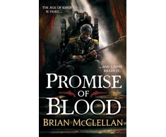 KNYGA Bookshop Promise of Blood