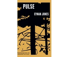 KNYGA Bookshop Pulsas