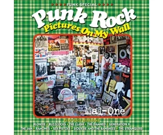 KNYGA Bookshop Punk Rock Pictures On My Wall