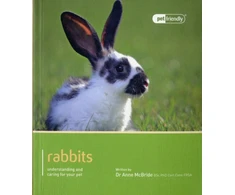 KNYGA Bookshop Rabbit - Pet Friendly