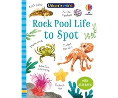 KNYGA Bookshop Rock Pool Life to Spot
