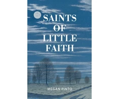 KNYGA Bookshop Saints of Little Faith