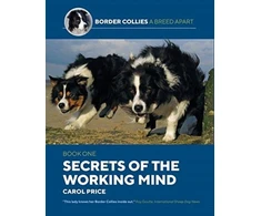 KNYGA Bookshop Secrets Of The Working Mind