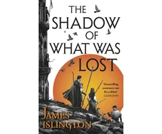 KNYGA Bookshop Little Shadow of What Was Lost