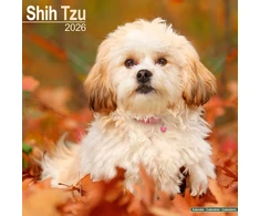 KNYGA Bookshop Shih Tzu Calendar 2026 Square Dog Breed Wall Calendar - 16 Month