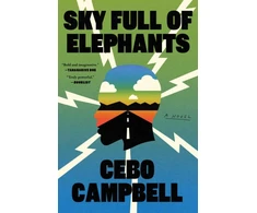 KNYGA Bookshop Sky Full of Elephants