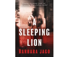 KNYGA Bookshop Sleeping Lion