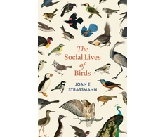 KNYGA Bookshop Social Lives of Birds