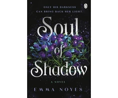 KNYGA Bookshop Soul of Shadow