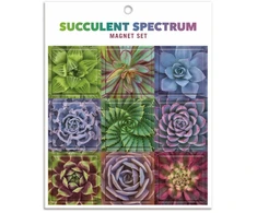 KNYGA Bookshop Succulent Spectrum Magnet Set