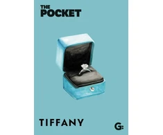 KNYGA Bookshop The Pocket Tiffany