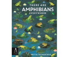 KNYGA Bookshop There Are Amphibians Everywhere
