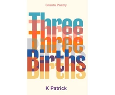 KNYGA Bookshop Three Births