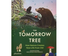 KNYGA Bookshop Tomorrow Tree