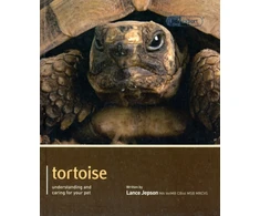 KNYGA Bookshop Tortoise - Pet Expert