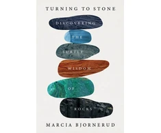 KNYGA Bookshop Turning to Stone