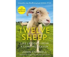 KNYGA Bookshop Twelve Sheep