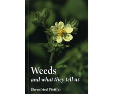KNYGA Bookshop Weeds and What They Tell Us