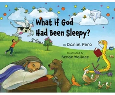 KNYGA Bookshop What if God Had Been Sleepy?