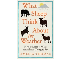 KNYGA Bookshop Thomas Amelia What Sheep Think About the Weather: How to listen to what animals are trying to say